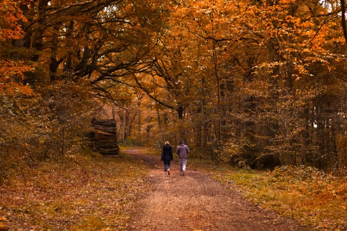 wandelen